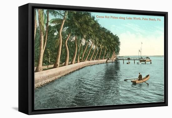 Palms on Lake Worth, Palm Beach, Florida-null-Framed Stretched Canvas