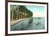 Palms on Lake Worth, Palm Beach, Florida-null-Framed Art Print