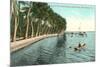 Palms on Lake Worth, Palm Beach, Florida-null-Mounted Art Print