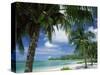 Palms on Shore, Cayman Kai Near Rum Point, Grand Cayman, Cayman Islands, West Indies-Ruth Tomlinson-Stretched Canvas