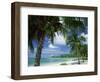 Palms on Shore, Cayman Kai Near Rum Point, Grand Cayman, Cayman Islands, West Indies-Ruth Tomlinson-Framed Premium Photographic Print