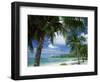 Palms on Shore, Cayman Kai Near Rum Point, Grand Cayman, Cayman Islands, West Indies-Ruth Tomlinson-Framed Premium Photographic Print