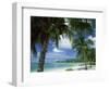 Palms on Shore, Cayman Kai Near Rum Point, Grand Cayman, Cayman Islands, West Indies-Ruth Tomlinson-Framed Premium Photographic Print