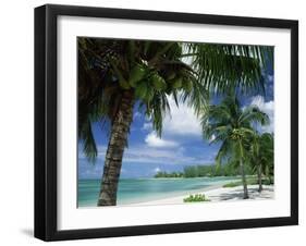 Palms on Shore, Cayman Kai Near Rum Point, Grand Cayman, Cayman Islands, West Indies-Ruth Tomlinson-Framed Premium Photographic Print