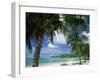 Palms on Shore, Cayman Kai Near Rum Point, Grand Cayman, Cayman Islands, West Indies-Ruth Tomlinson-Framed Premium Photographic Print