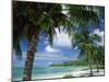 Palms on Shore, Cayman Kai Near Rum Point, Grand Cayman, Cayman Islands, West Indies-Ruth Tomlinson-Mounted Premium Photographic Print