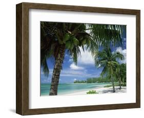 Palms on Shore, Cayman Kai Near Rum Point, Grand Cayman, Cayman Islands, West Indies-Ruth Tomlinson-Framed Photographic Print