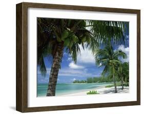 Palms on Shore, Cayman Kai Near Rum Point, Grand Cayman, Cayman Islands, West Indies-Ruth Tomlinson-Framed Photographic Print