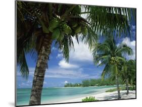 Palms on Shore, Cayman Kai Near Rum Point, Grand Cayman, Cayman Islands, West Indies-Ruth Tomlinson-Mounted Photographic Print