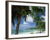 Palms on Shore, Cayman Kai Near Rum Point, Grand Cayman, Cayman Islands, West Indies-Ruth Tomlinson-Framed Photographic Print