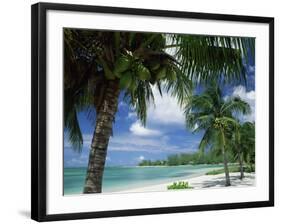 Palms on Shore, Cayman Kai Near Rum Point, Grand Cayman, Cayman Islands, West Indies-Ruth Tomlinson-Framed Photographic Print