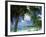 Palms on Shore, Cayman Kai Near Rum Point, Grand Cayman, Cayman Islands, West Indies-Ruth Tomlinson-Framed Photographic Print