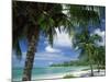 Palms on Shore, Cayman Kai Near Rum Point, Grand Cayman, Cayman Islands, West Indies-Ruth Tomlinson-Mounted Photographic Print