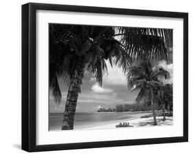 Palms on Shore, Cayman Kai Near Rum Point, Grand Cayman, Cayman Islands, West Indies-Ruth Tomlinson-Framed Premium Photographic Print