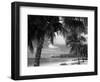 Palms on Shore, Cayman Kai Near Rum Point, Grand Cayman, Cayman Islands, West Indies-Ruth Tomlinson-Framed Photographic Print