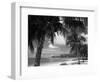 Palms on Shore, Cayman Kai Near Rum Point, Grand Cayman, Cayman Islands, West Indies-Ruth Tomlinson-Framed Photographic Print