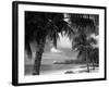 Palms on Shore, Cayman Kai Near Rum Point, Grand Cayman, Cayman Islands, West Indies-Ruth Tomlinson-Framed Photographic Print