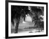 Palms on Shore, Cayman Kai Near Rum Point, Grand Cayman, Cayman Islands, West Indies-Ruth Tomlinson-Framed Photographic Print