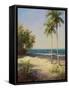 Palms on the Beach II-Karen Dupr?-Framed Stretched Canvas