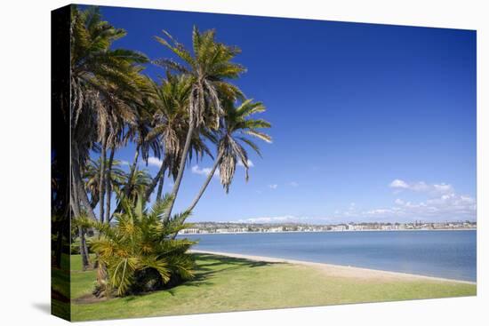 Palms on the Beach-Stanislav Volik-Stretched Canvas