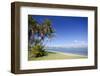 Palms on the Beach-Stanislav Volik-Framed Photographic Print