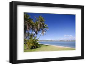 Palms on the Beach-Stanislav Volik-Framed Photographic Print