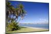 Palms on the Beach-Stanislav Volik-Mounted Photographic Print