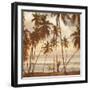 Palms on the Water I-John Seba-Framed Art Print