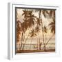 Palms on the Water I-John Seba-Framed Art Print