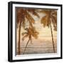 Palms on the Water II-John Seba-Framed Art Print