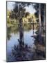 Palms on Water I-Larry Moore-Mounted Giclee Print
