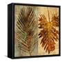 Palms Pairs II-John Seba-Framed Stretched Canvas