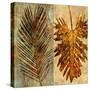 Palms Pairs II-John Seba-Stretched Canvas