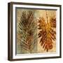 Palms Pairs II-John Seba-Framed Art Print