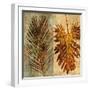 Palms Pairs II-John Seba-Framed Art Print