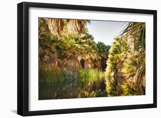 Palms Reflecting-Janice Sullivan-Framed Premium Giclee Print