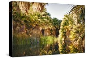 Palms Reflecting-Janice Sullivan-Stretched Canvas