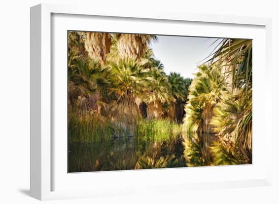 Palms Reflecting-Janice Sullivan-Framed Giclee Print