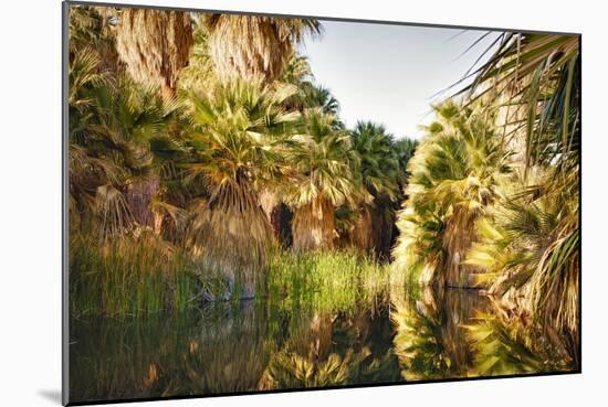 Palms Reflecting-Janice Sullivan-Mounted Giclee Print