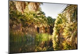 Palms Reflecting-Janice Sullivan-Mounted Giclee Print