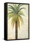 Palms &Scrolls II-Patricia Pinto-Framed Stretched Canvas