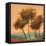 Palms Setting Sun-Michael Tienhaara-Framed Stretched Canvas