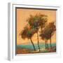 Palms Setting Sun-Michael Tienhaara-Framed Art Print