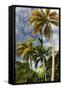 Palms Sky Vertical-Robert Goldwitz-Framed Stretched Canvas