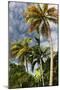 Palms Sky Vertical-Robert Goldwitz-Mounted Photographic Print
