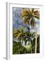 Palms Sky Vertical-Robert Goldwitz-Framed Photographic Print