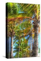 Palms Vertical-Robert Goldwitz-Stretched Canvas