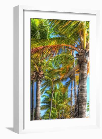 Palms Vertical-Robert Goldwitz-Framed Photographic Print