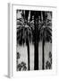 Palms with Silver II-Kate Bennett-Framed Art Print