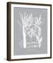 Palmyra IV-Maria Mendez-Framed Giclee Print